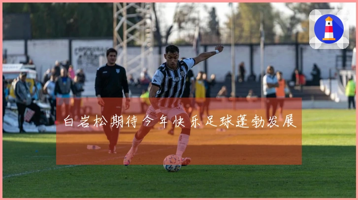 白岩松期待今年快乐足球蓬勃发展