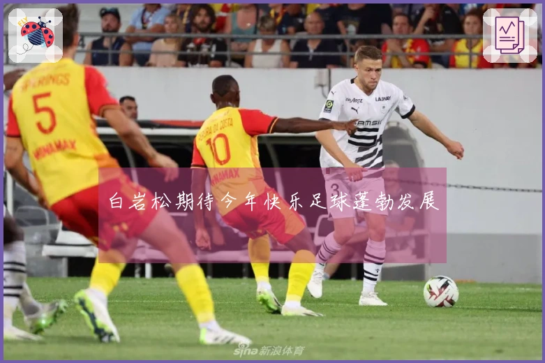 白岩松期待今年快乐足球蓬勃发展